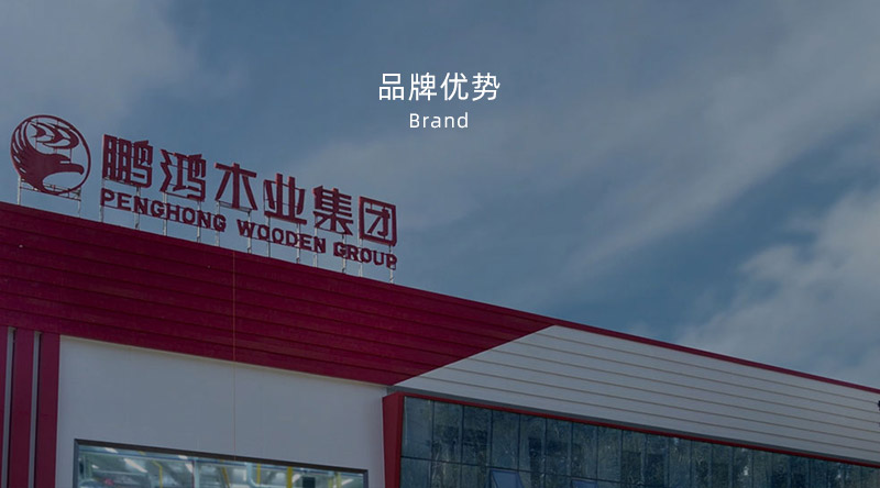 板材品牌、全屋定制品牌、生態(tài)板十大品牌
